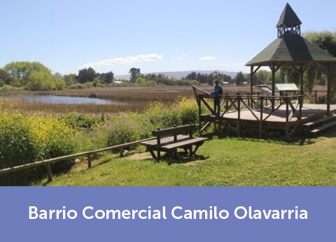Barrio Comercial Camilo Olavarría