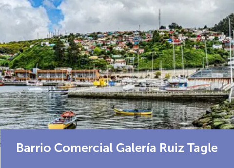 Barrio Comercial Galería Ruiz Tagle