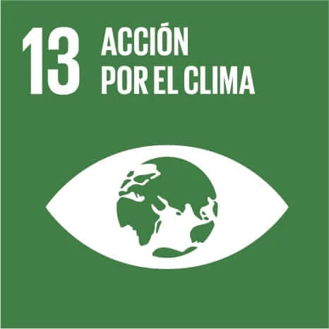 Imagen de Objetivos de desarrollo sostenible - Objetivo 13: Acción por el clima.