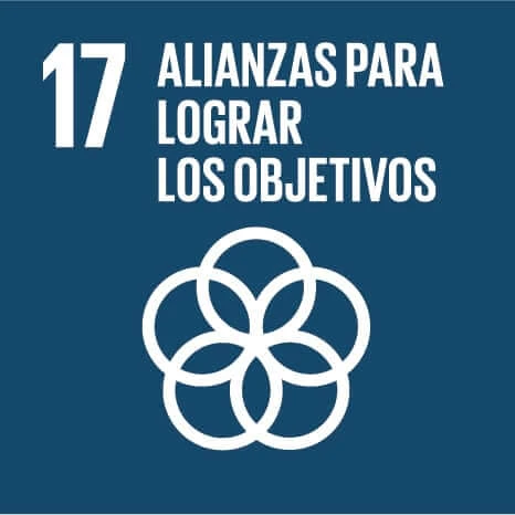 Imagen de Objetivos de desarrollo sostenible - Objetivo 17: Alianzas para lograr objetivos.