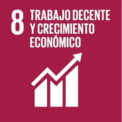 Imagen de Objetivos de desarrollo sostenible - Objetivo 8: Trabajo decente y crecimiento económico.