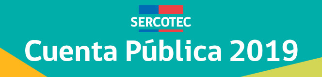 Cuenta Pública Participativa 2019