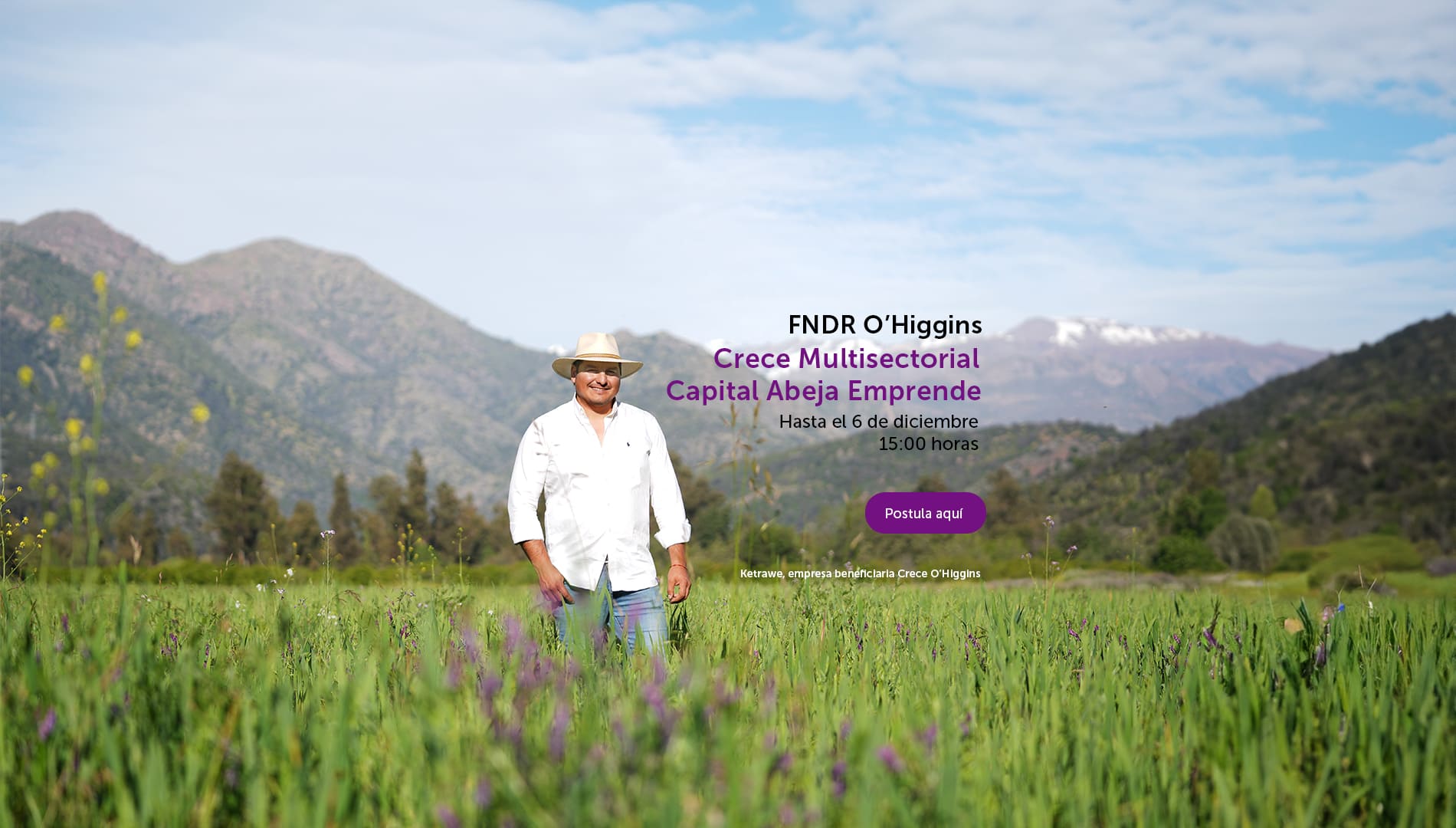 Segunda convocatoria Pymes Globales 2023