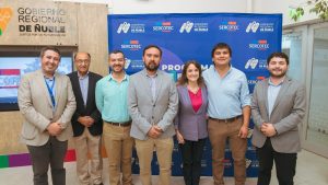 Anuncian fondos para apoyar a cerca de 200 emprendimientos de Ñuble