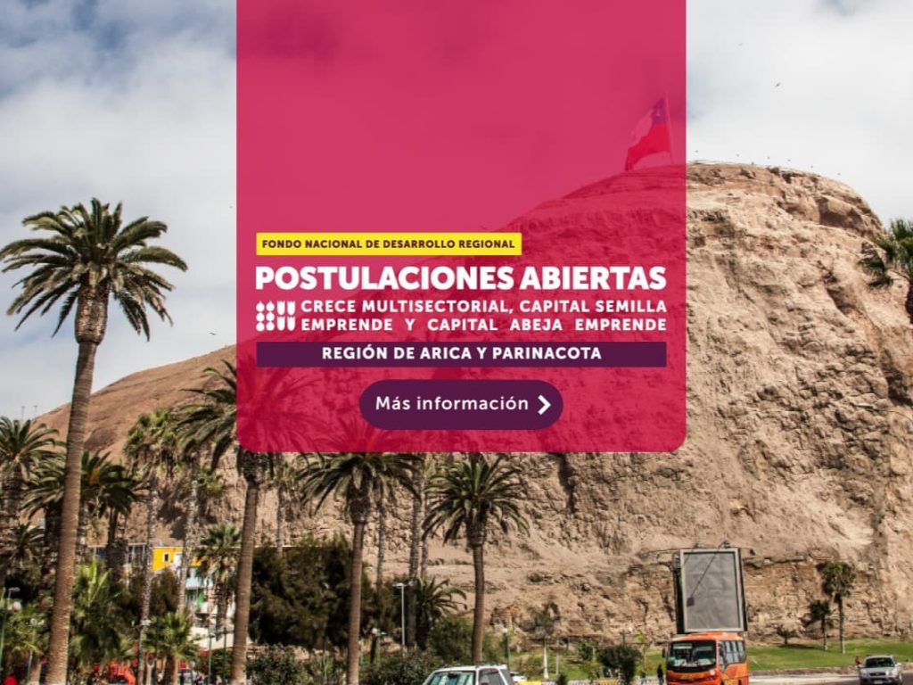 Abren fondos para apoyar el desarrollo empresarial en la Región de Arica y Parinacota