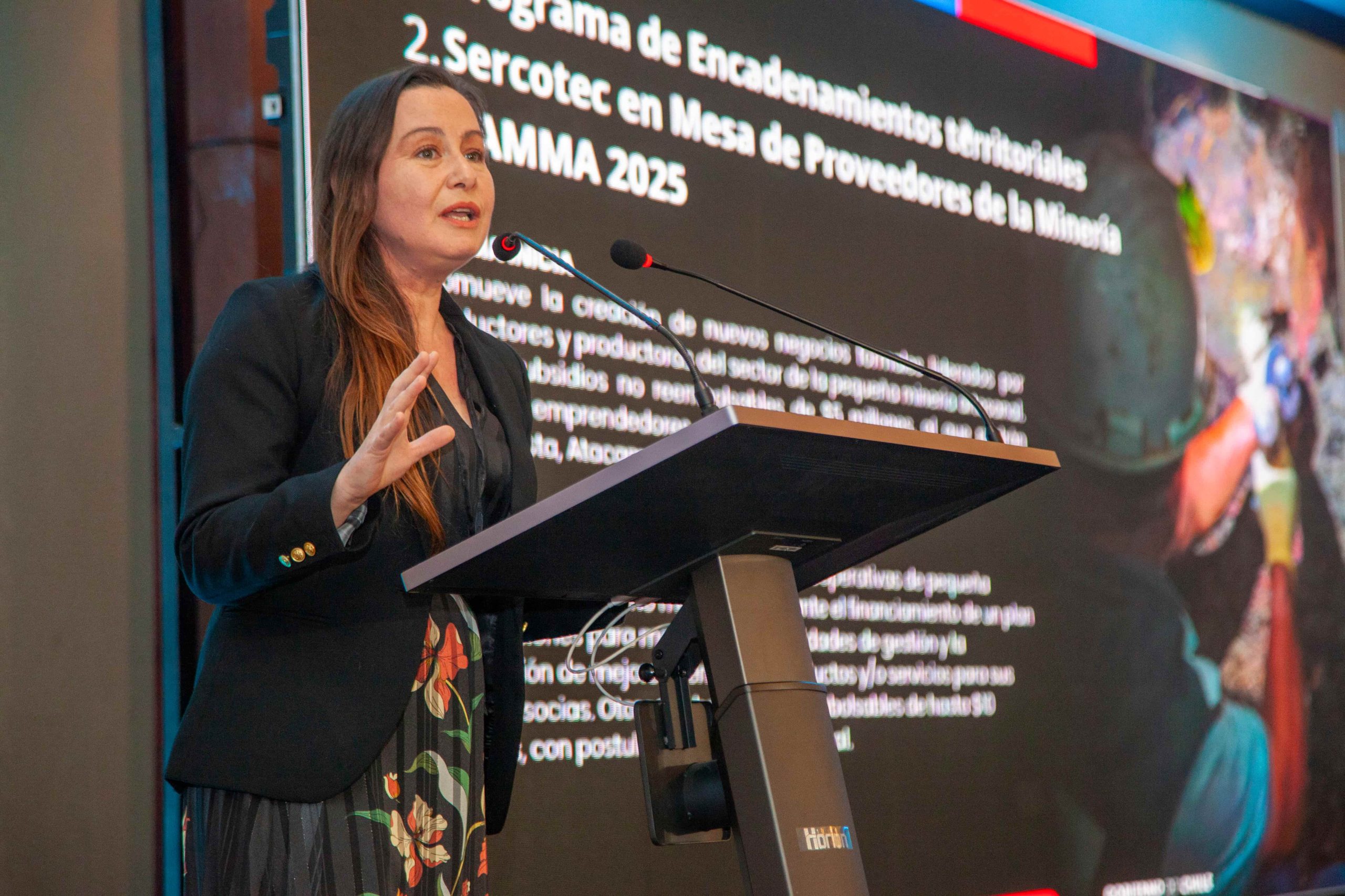 Programa de Sercotec acercará las pymes a las grandes industrias del país