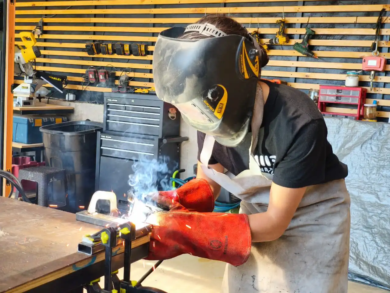 María Jesús Mardones: la empresaria que promete viajes con la comodidad del hogar sobre ruedas