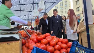 Primer plano desde un ángulo bajo de una gran montaña de tomates rojos y brillantes en un puesto de mercado. Detrás del mostrador, un vendedor con camiseta verde señala el producto, mientras el ministro de Economía y el gerente general de Sercotec examinan la mercadería caminando a lo largo del puesto. Bolsas de plástico blancas cuelgan de la estructura del toldo a rayas y, al fondo, se divisan fachadas de edificios de la ciudad.