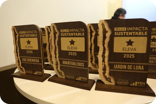 Grupo de galardones de Sello Impacta Sustentable Sercotec