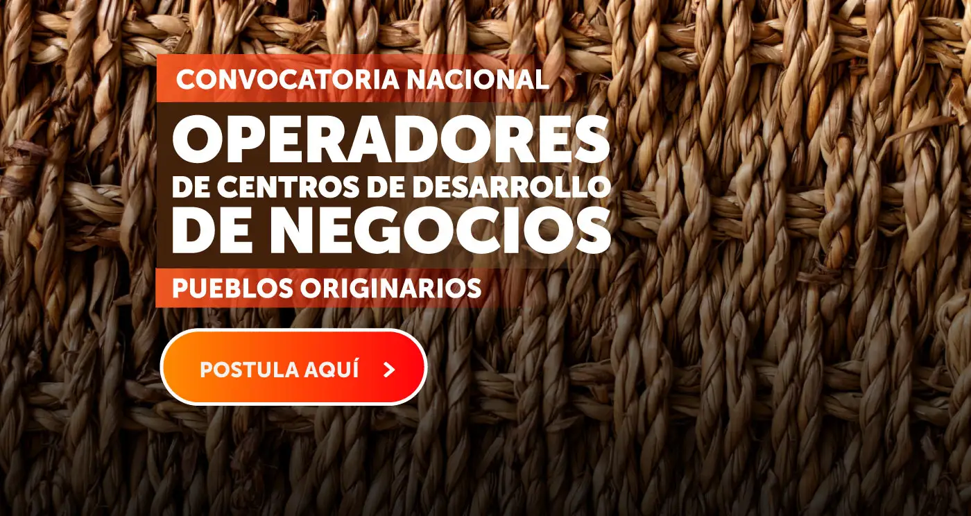 Llamado concurso público 2025 Operadores de Centros de Desarrollo de Negocios - Pueblos Originarios - Botón: Postula Aquí (version celular)
