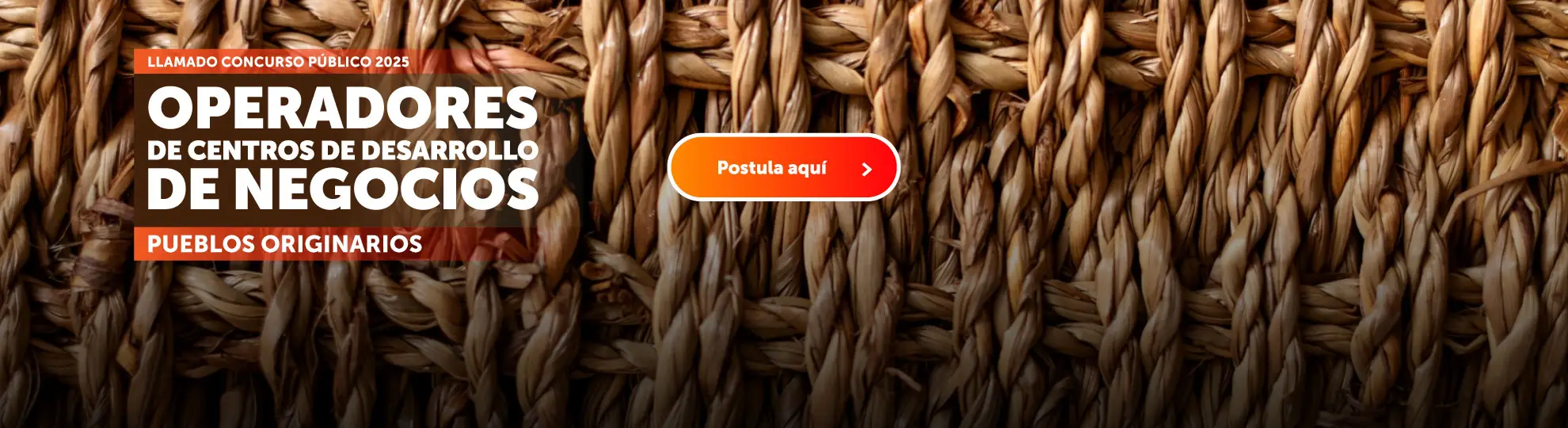 Llamado concurso público 2025 Operadores de Centros de Desarrollo de Negocios - Pueblos Originarios - Botón: Postula Aquí