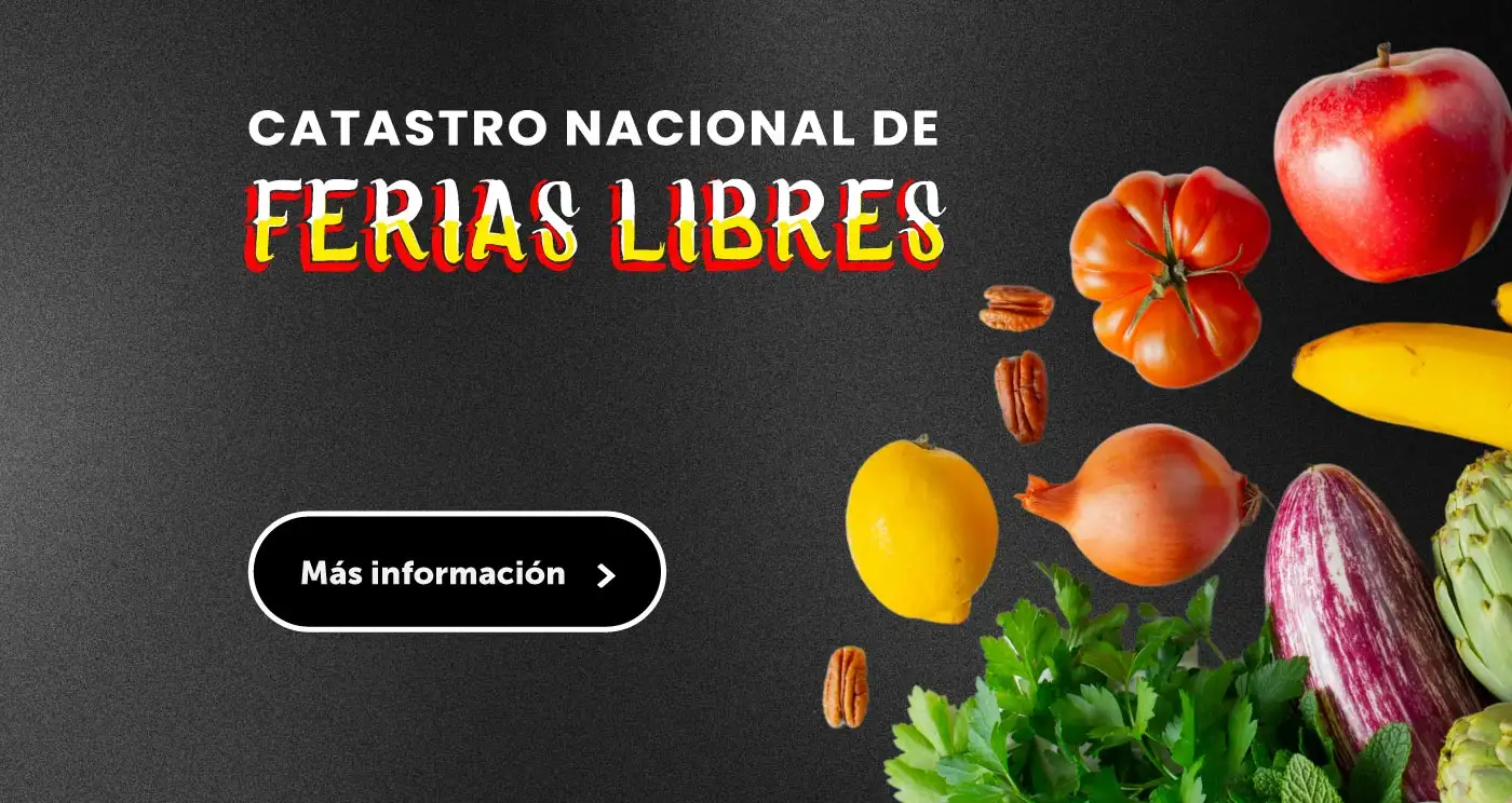 Catastro Nacional de Ferias Libres Botón: Más información (Se abre en una nueva pestaña)