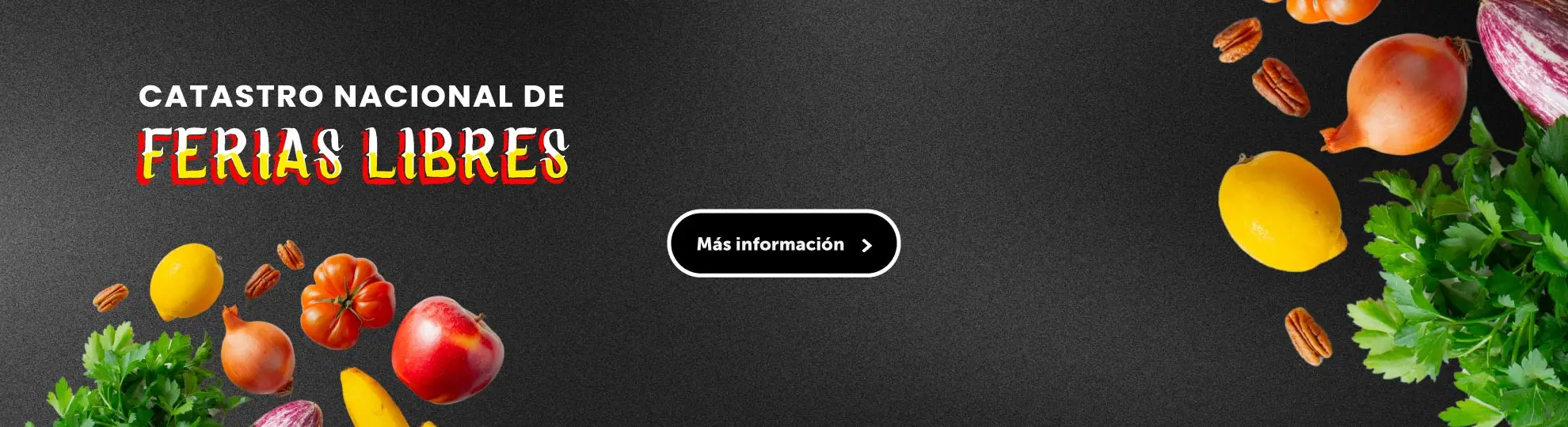 Catastro Nacional de Ferias Libres Botón: Más información (Se abre en una nueva pestaña)