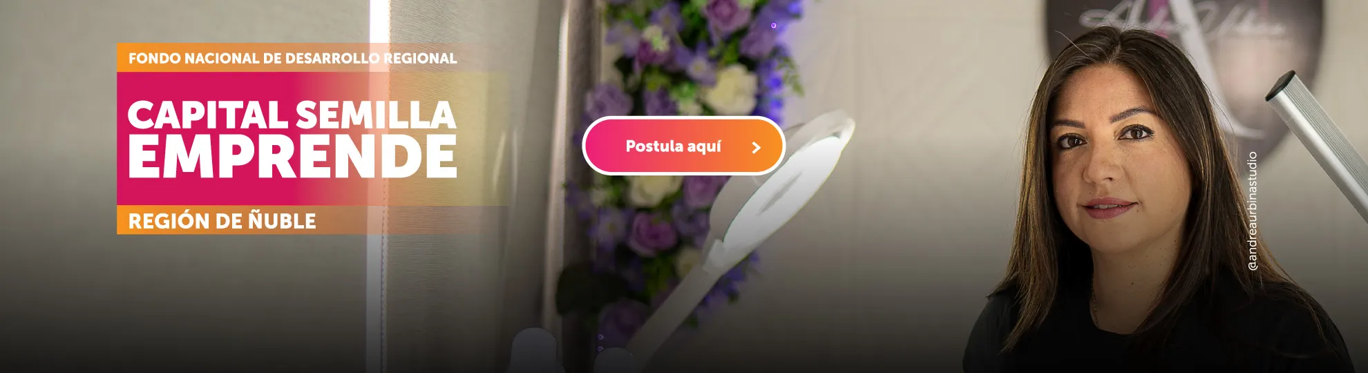 Fondo Nacional de Desarrollo Regional - Capital Semilla Emprende - Región Ñuble - Botón: Postula Aquí